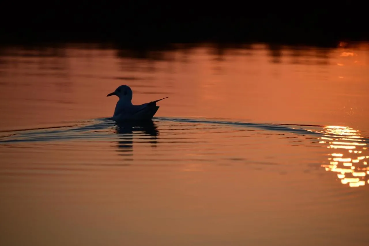 Agriturismo Venice Photobirding Tessera Italien