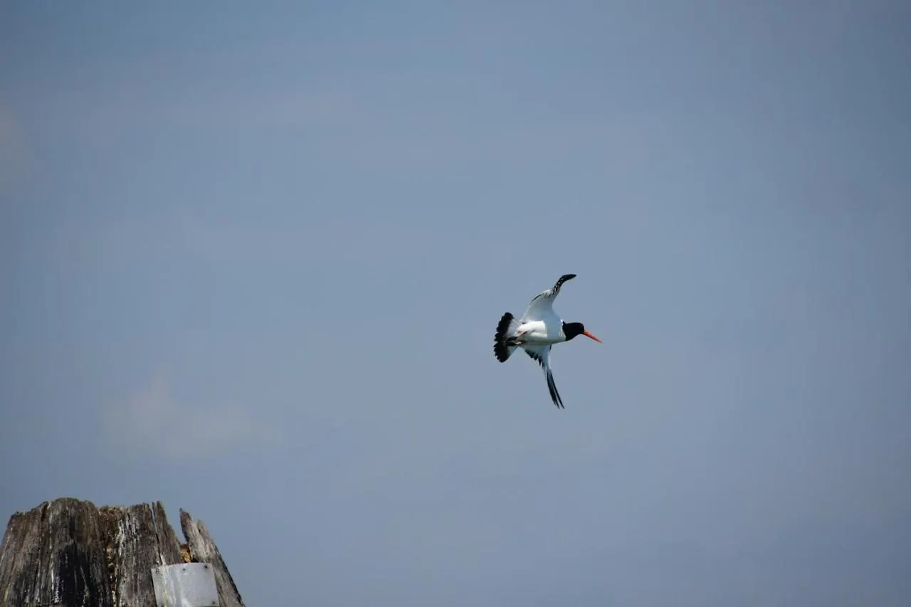 Agriturismo Venice Photobirding Tessera 0*,  Italien